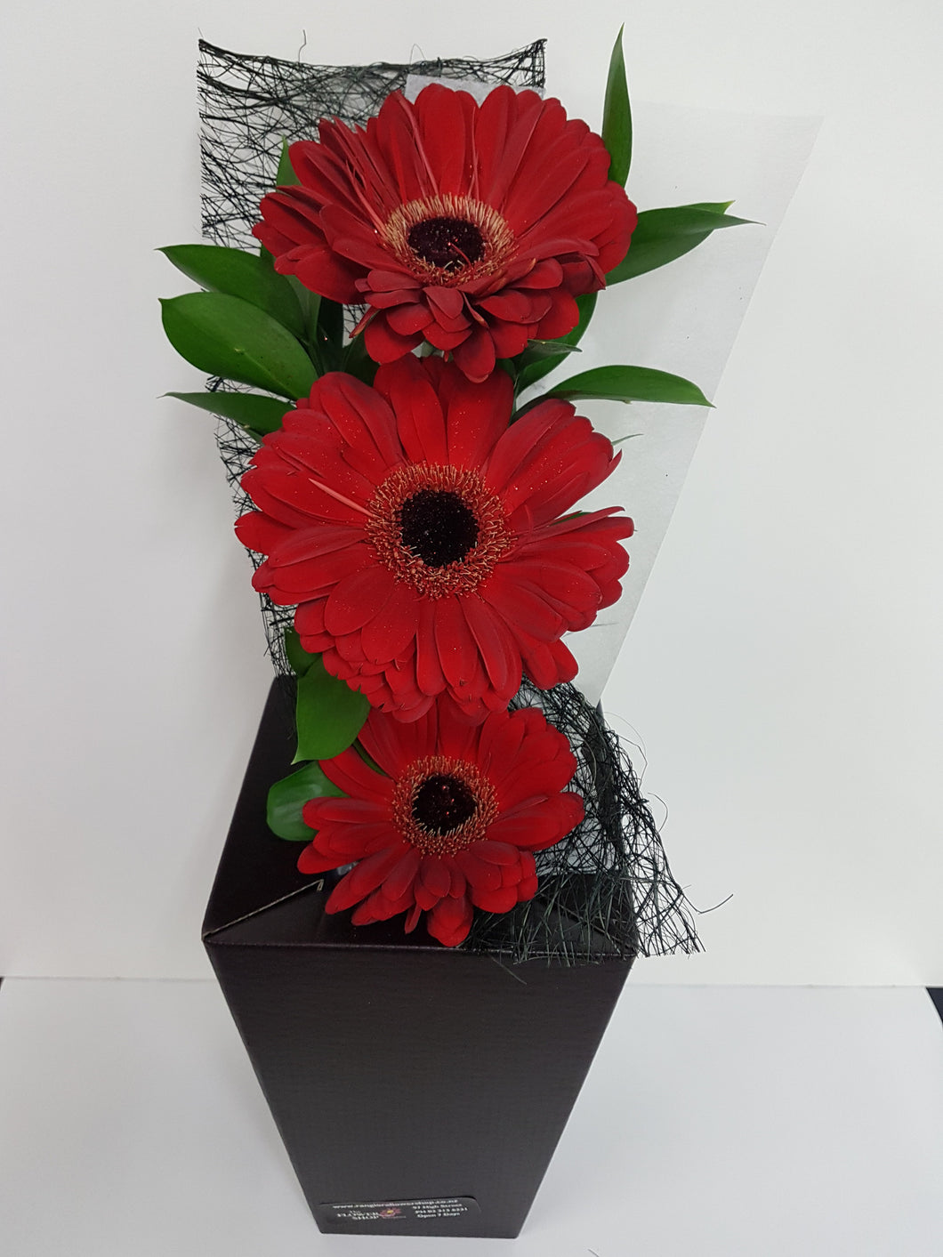 Red Gerbera Bloom