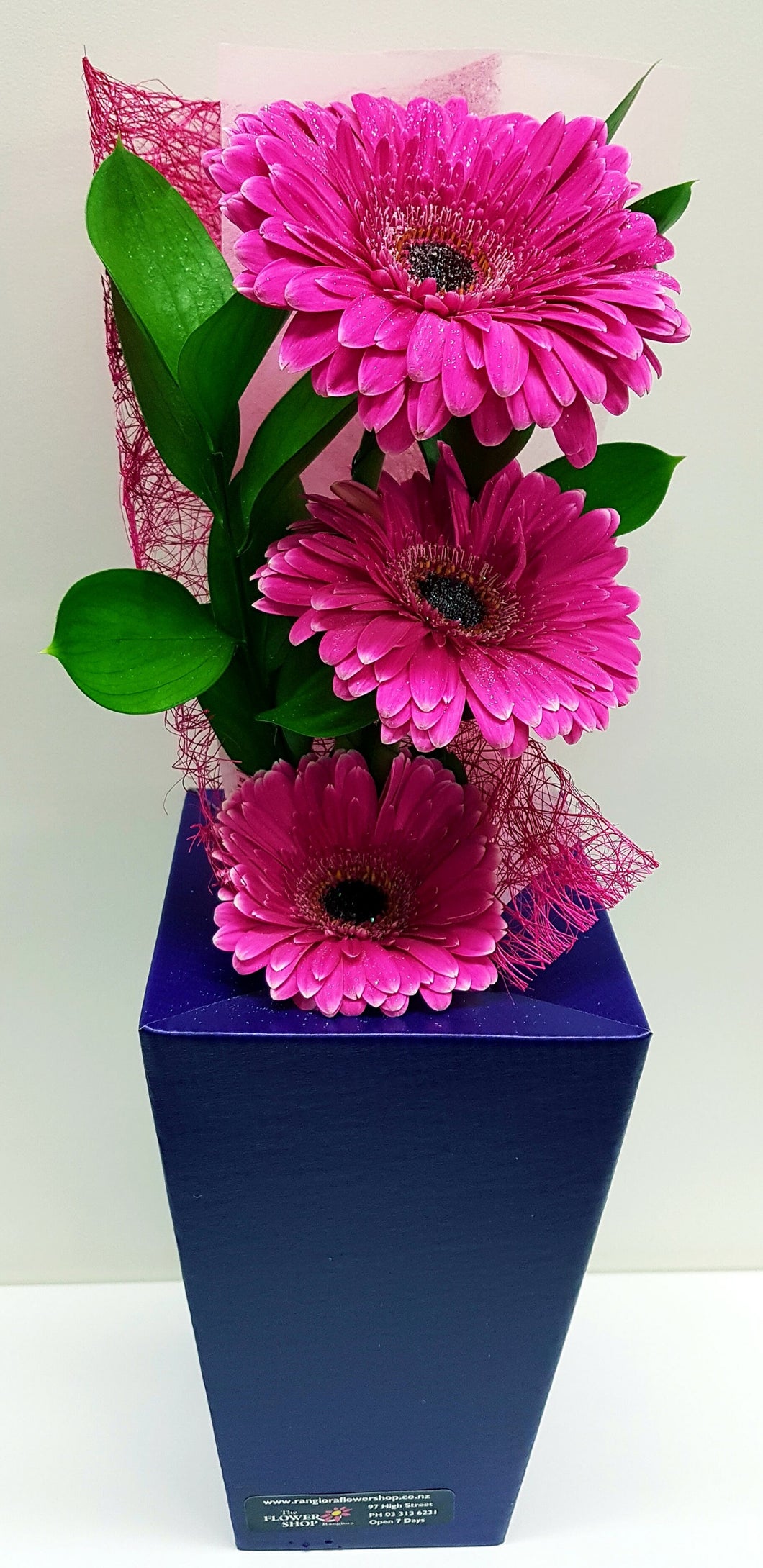 Pink Gerbera Bloom