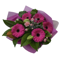 Sweetpea
